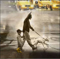 MAURO ROSSO - Yellow Taxi