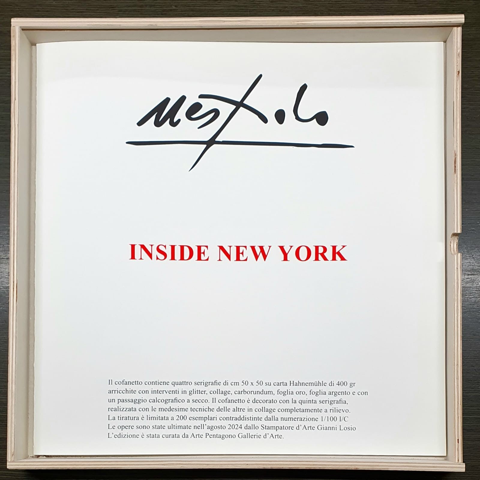 UGO NESPOLO - Inside New York