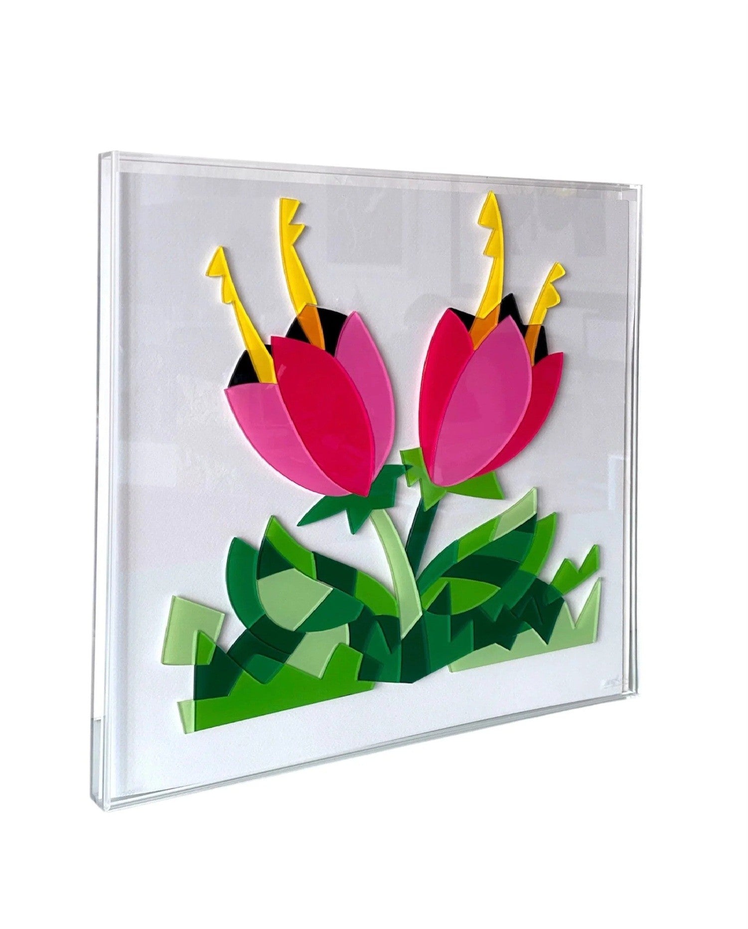 UGO NESPOLO - Giardino invisibile