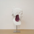 DANIELE FORTUNA - Ninpha Colormination