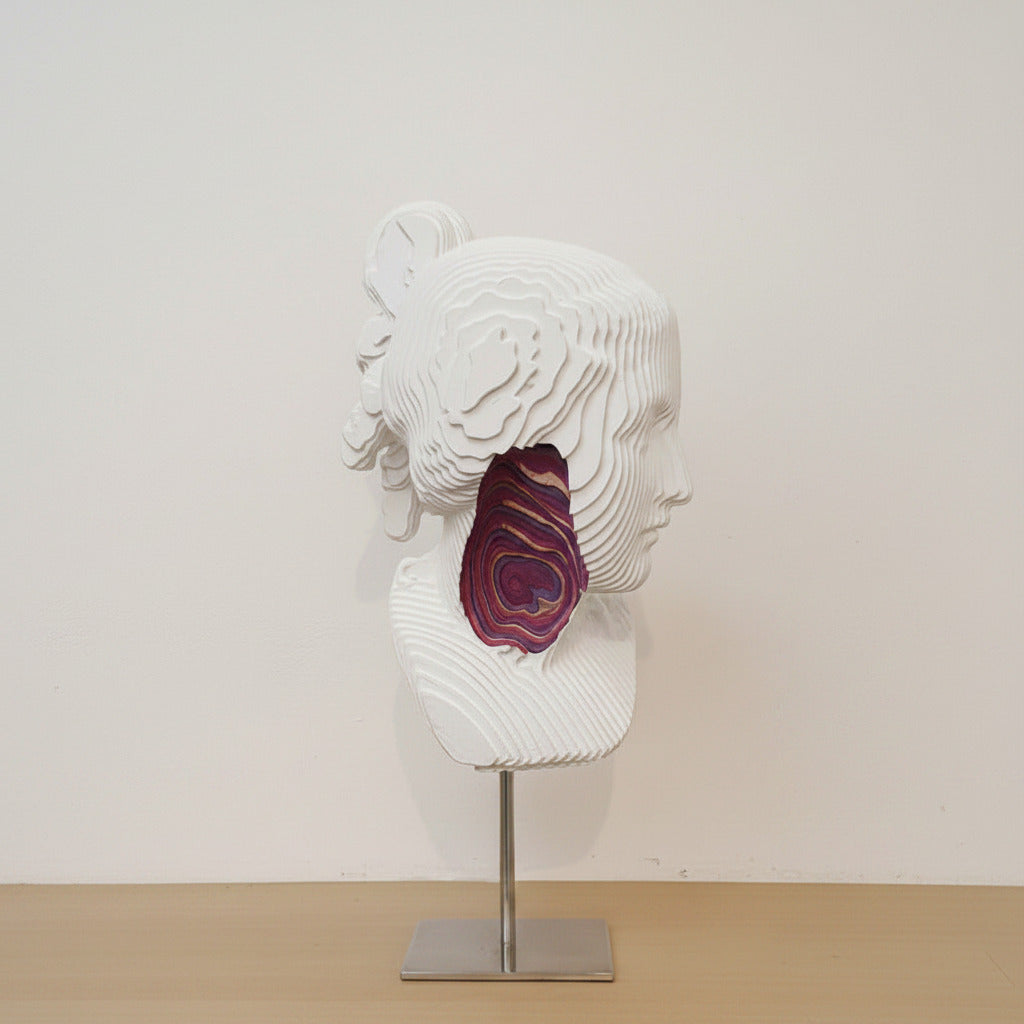 DANIELE FORTUNA - Ninpha Colormination