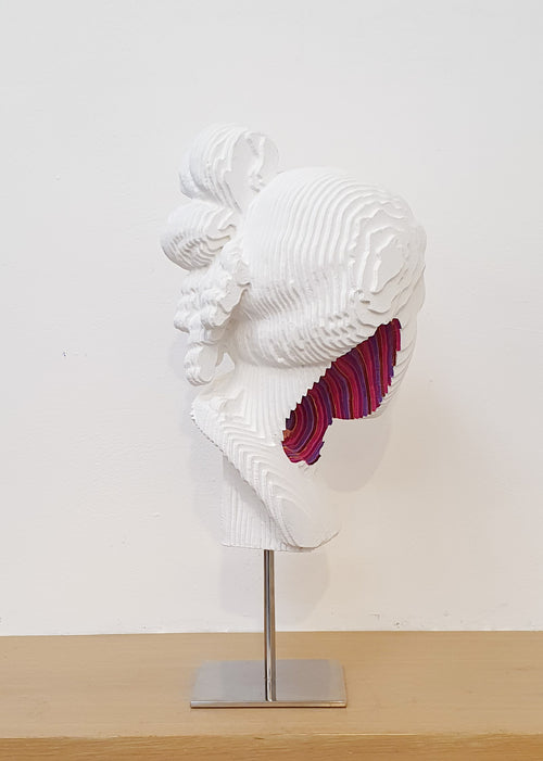 DANIELE FORTUNA - Ninpha Colormination