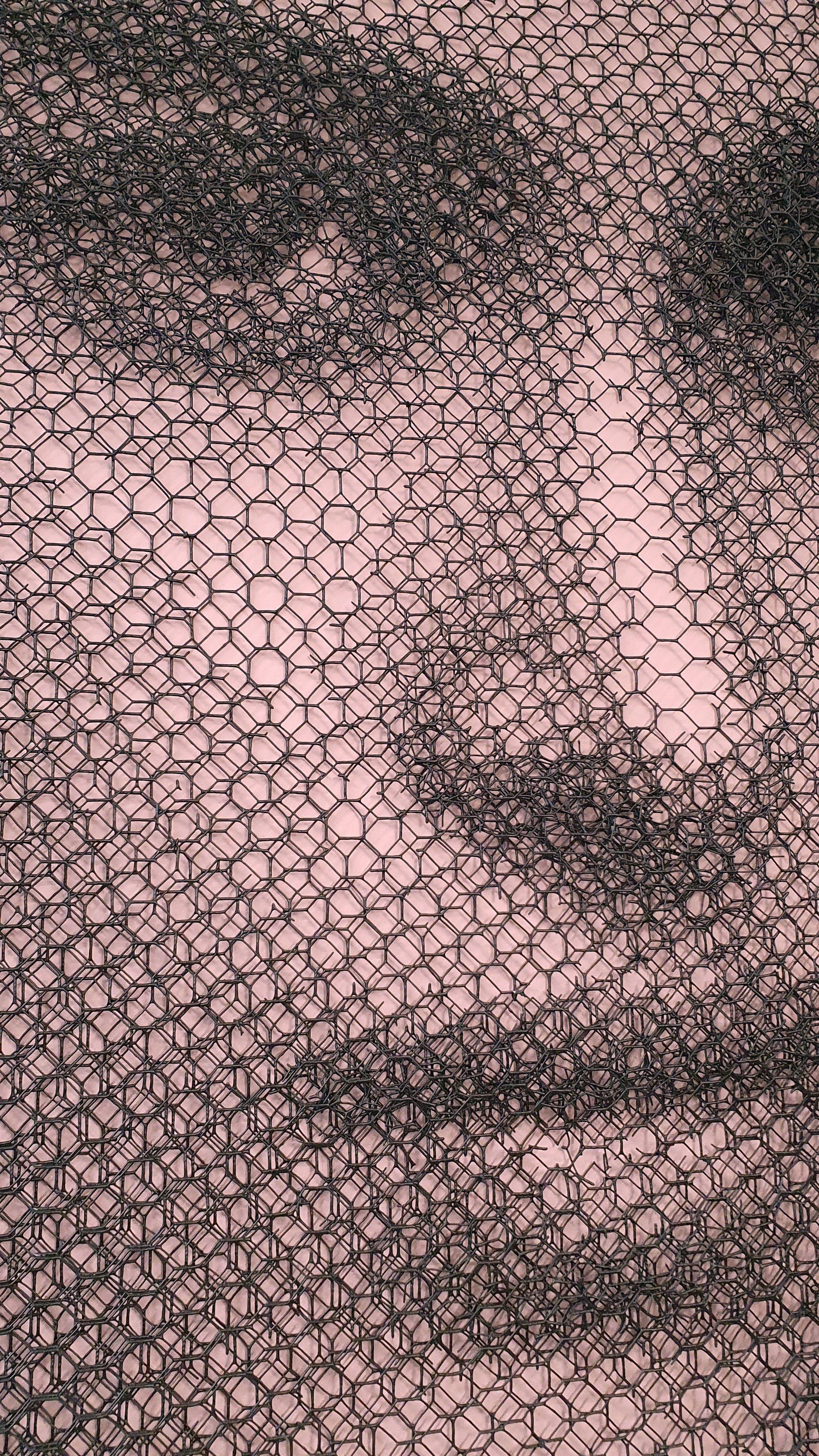 GIORGIO TENTOLINI - Lea Movimento Jeune Fille 2022 031171