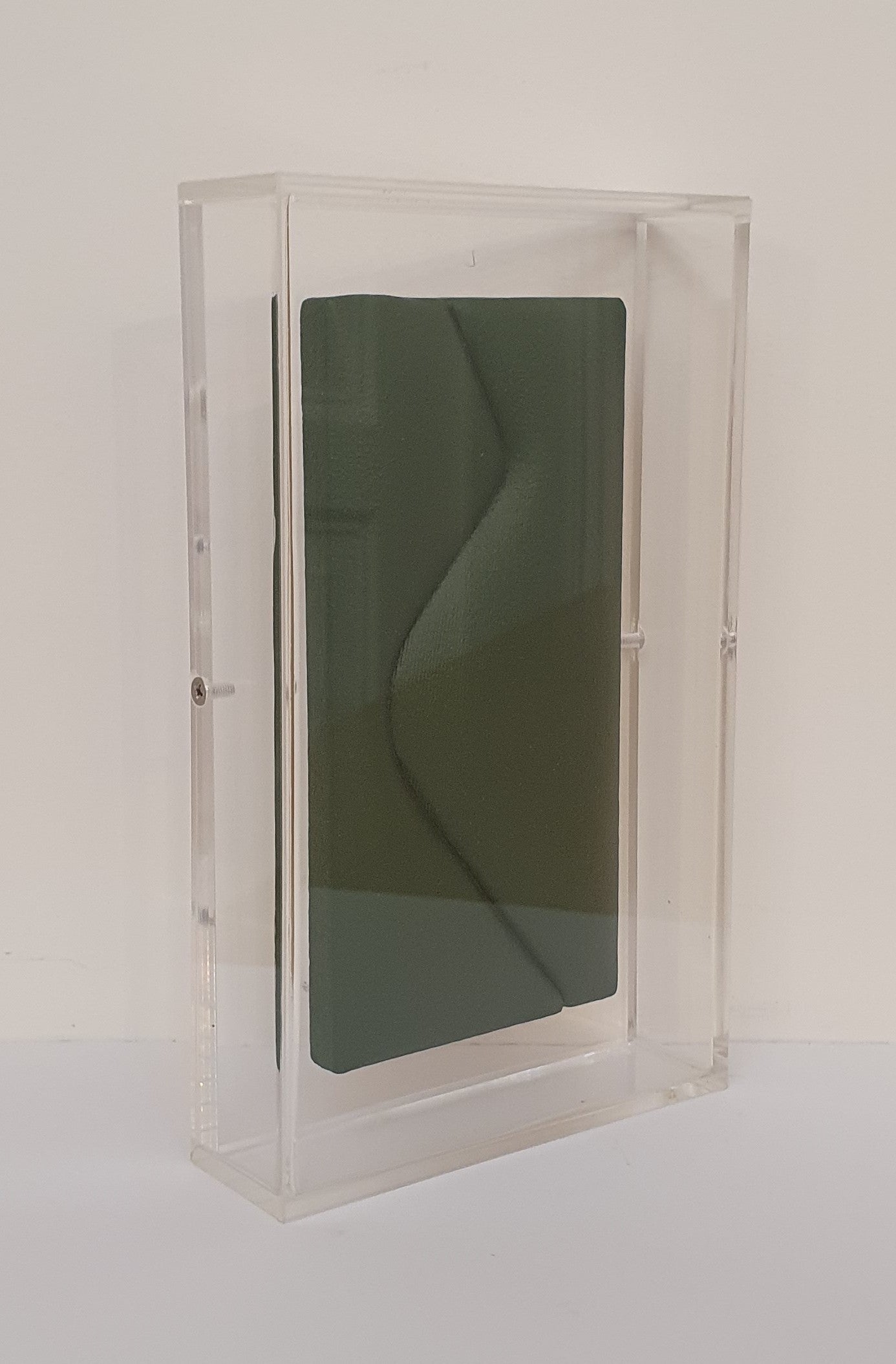 SAMUELE VENTANNI - Introiezione Verde