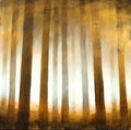 ERNESTO MORALES - Forest I