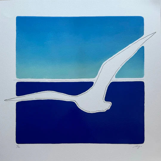 MERY RIGO - Volo libero - Serigrafia