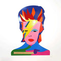 MARCO LODOLA - Bowie