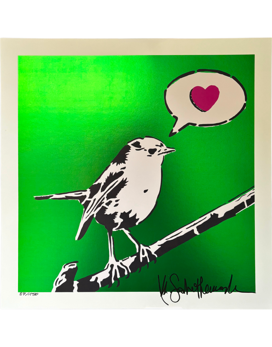 MR SAVETHEWALL - Free as a bird