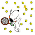 SERGIO VEGLIO - Association of Tennis Peanuts ATP 2025